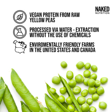 Chocolate Peanut Butter Pea Protein Powder | Naked Pea - 2LB